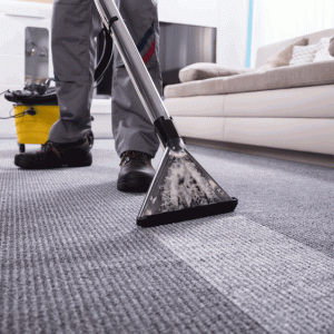 Carpet Cleaning Bundle