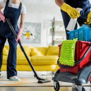 Max Deep Cleaning