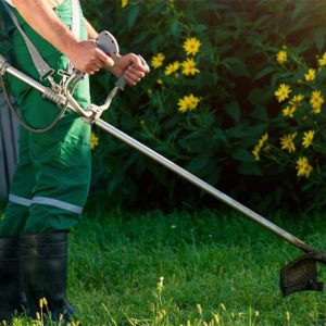 Garden Maintenance Services
